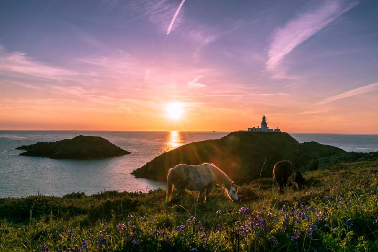 Carreg Yr Onnen Villa Haverfordwest Dış mekan fotoğraf